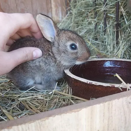 Dom wakacyjny U Eriky Hrabušice