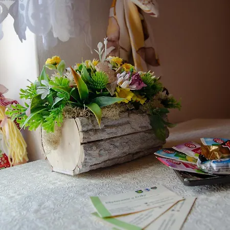 Dom wakacyjny U Eriky *